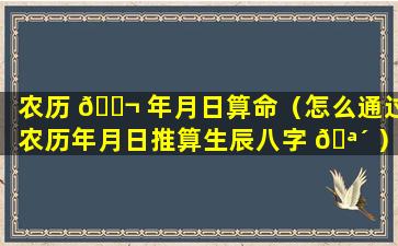 农历 🐬 年月日算命（怎么通过农历年月日推算生辰八字 🪴 ）